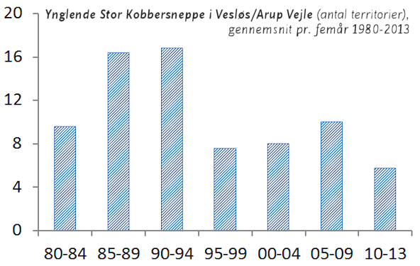 Graf med bestandsudvikling hos Stor Kobbersneppe i Vesløs/Arup Vejle.